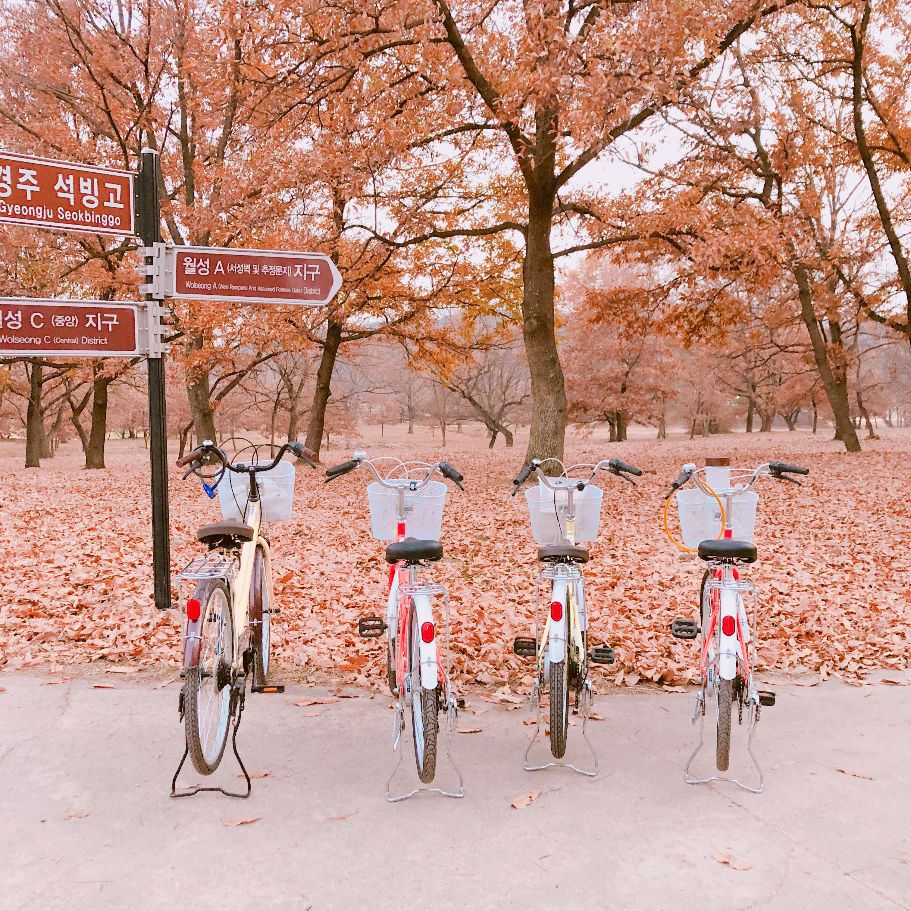 Bicycles, Apple iPhone 8 Plus